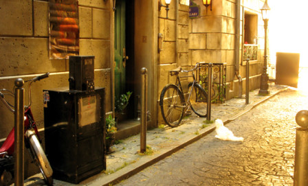 May2010-017 May2010-017