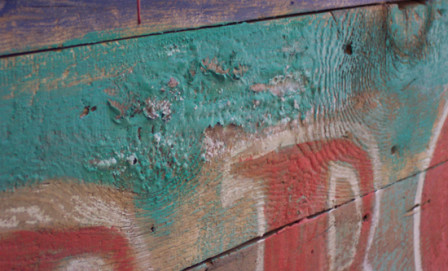 May2010-031 May2010-031