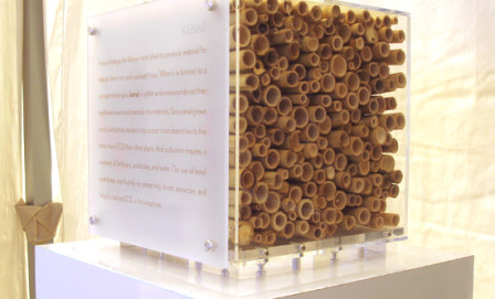 OLYMPUS DIGITAL CAMERA OLYMPUS DIGITAL CAMERA